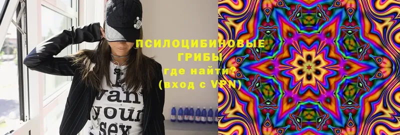 OMG ССЫЛКА  Сыктывкар  Псилоцибиновые грибы мухоморы 